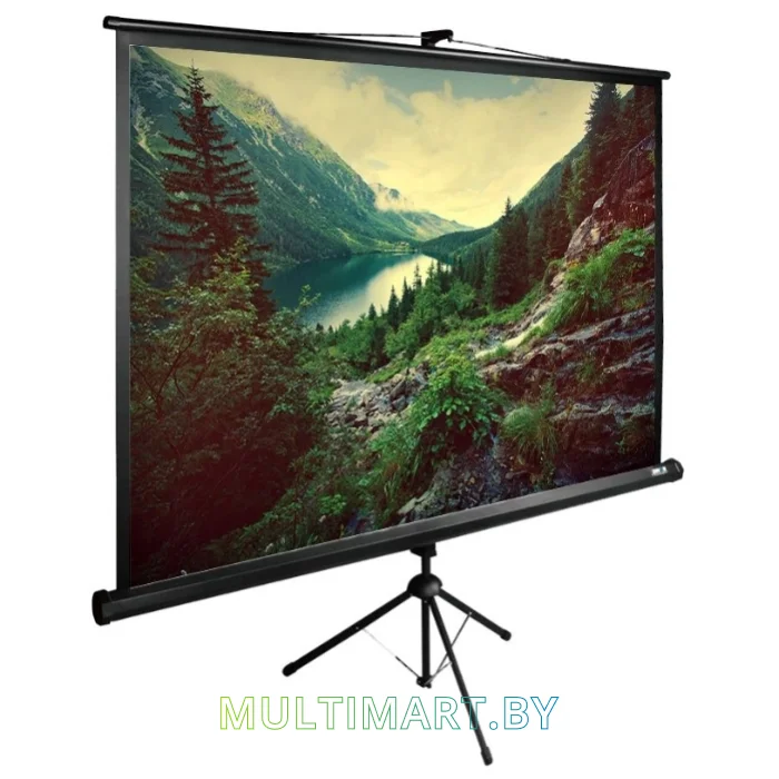 Проекционный экран CACTUS TriExpert 220x220 (CS-PSTE-220х220-BK)